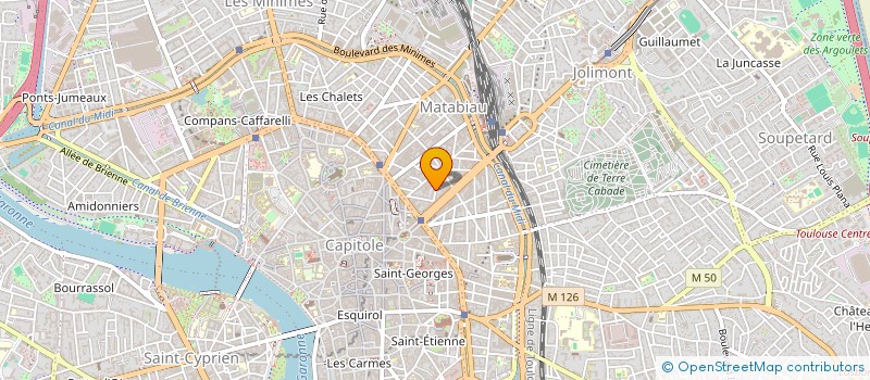localisation de l'entreprise MONSIEUR MAXENCE TIERCELIN à TOULOUSE