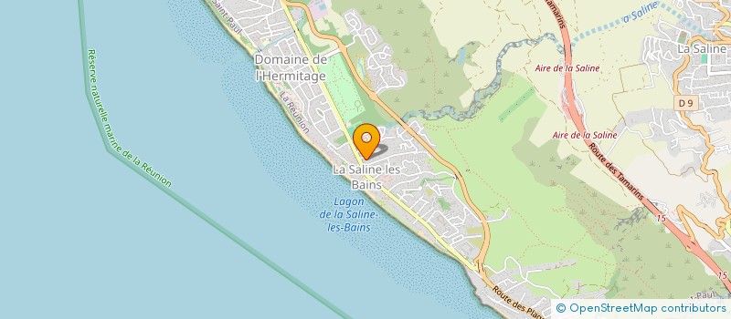 localisation de l'entreprise MONSIEUR MAXIM COZ  SAINT-PAUL