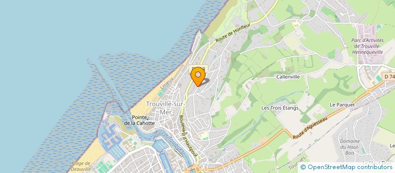 localisation de l'entreprise MONSIEUR MAXIME BERNARD à TROUVILLE-SUR-MER