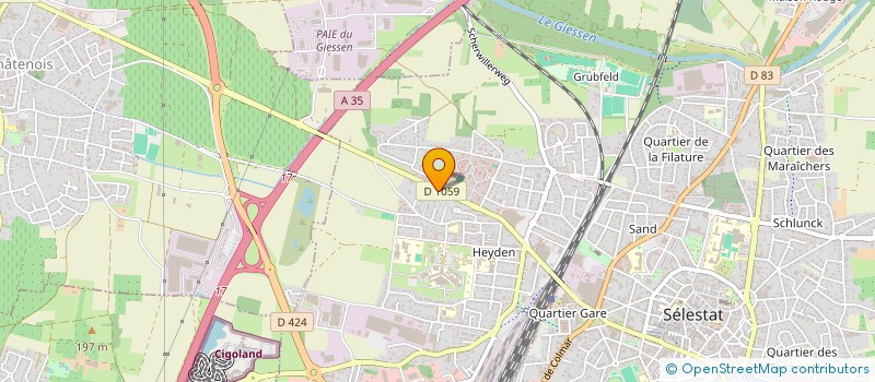 localisation de l'entreprise MONSIEUR MAXIME BERNE  SELESTAT