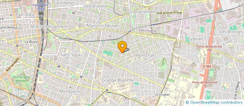 localisation de l'entreprise MONSIEUR MAXIME BOLOGNESI  LYON