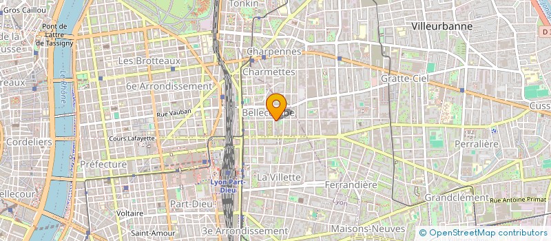 localisation de l'entreprise MONSIEUR MAXIME BRUN  LYON