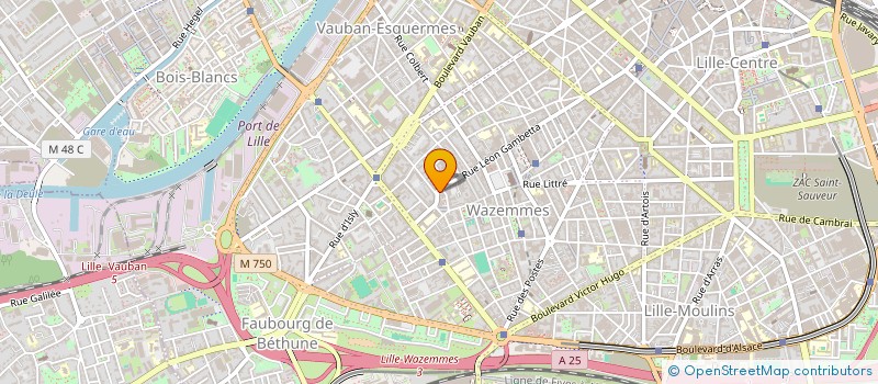 localisation de l'entreprise MONSIEUR MAXIME BUGEAUD à LILLE