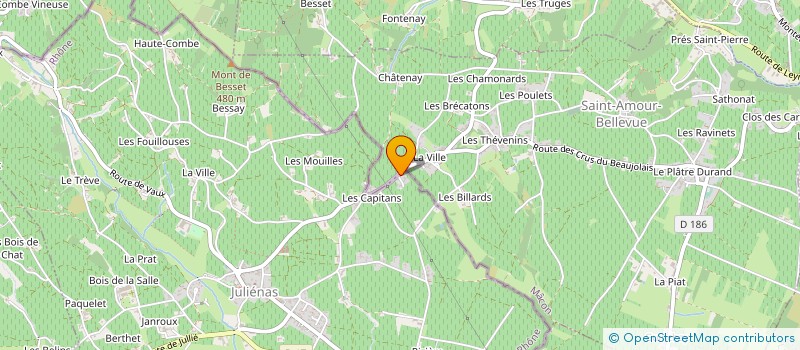 localisation de l'entreprise MONSIEUR MAXIME CHERVET à JULIENAS