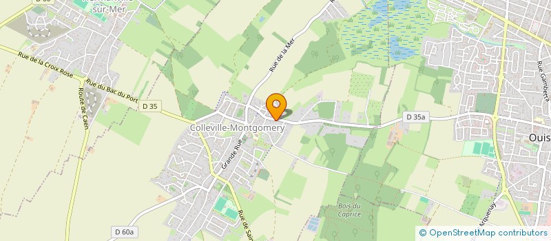 localisation de l'entreprise MONSIEUR MAXIME COTEL  COLLEVILLE-MONTGOMERY