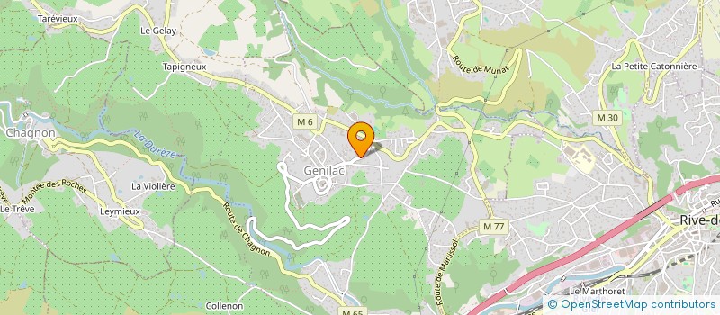 localisation de l'entreprise MONSIEUR MAXIME DAVID  GENILAC