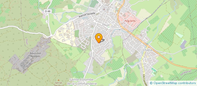 localisation de l'entreprise MONSIEUR MAXIME DAVID  THUIR