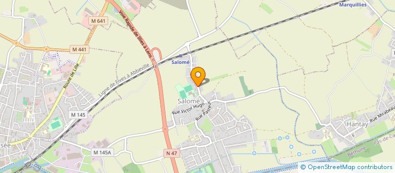 localisation de l'entreprise MONSIEUR MAXIME DELEMARLE  SALOME