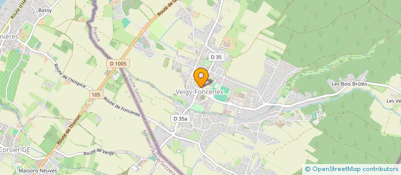 localisation de l'entreprise MONSIEUR MAXIME DIAKE  VEIGY-FONCENEX