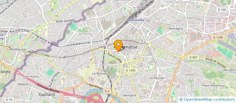 localisation de l'entreprise MONSIEUR MAXIME DUVERT  ANNEMASSE