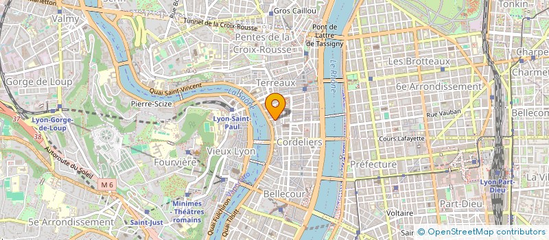 localisation de l'entreprise MONSIEUR MAXIME FROGER à LYON