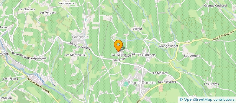 localisation de l'entreprise MONSIEUR MAXIME GAUDET à REGNIE-DURETTE