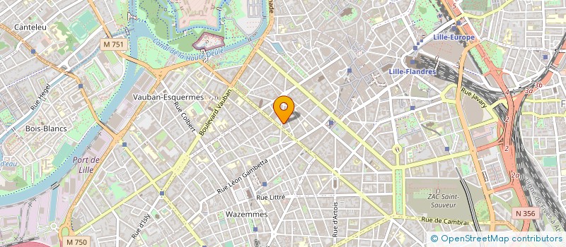 localisation de l'entreprise MONSIEUR MAXIME GEY  LILLE