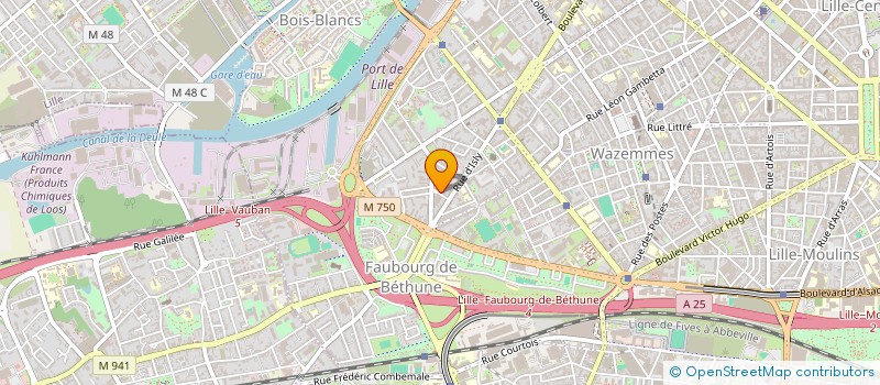 localisation de l'entreprise MONSIEUR MAXIME GOSSELIN à LILLE