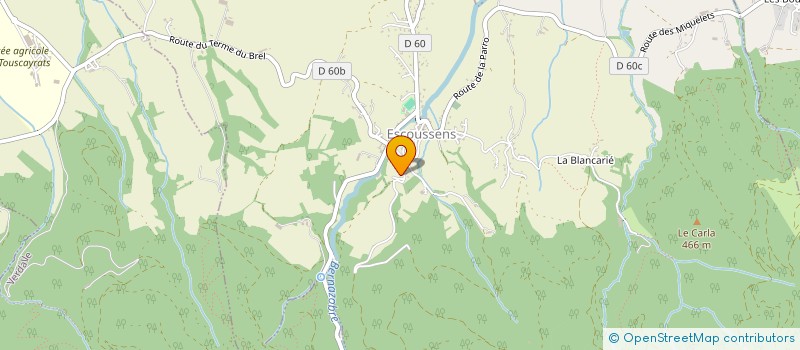 localisation de l'entreprise MONSIEUR MAXIME GRAND  ESCOUSSENS