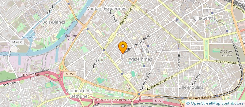 localisation de l'entreprise MONSIEUR MAXIME JENART  LILLE