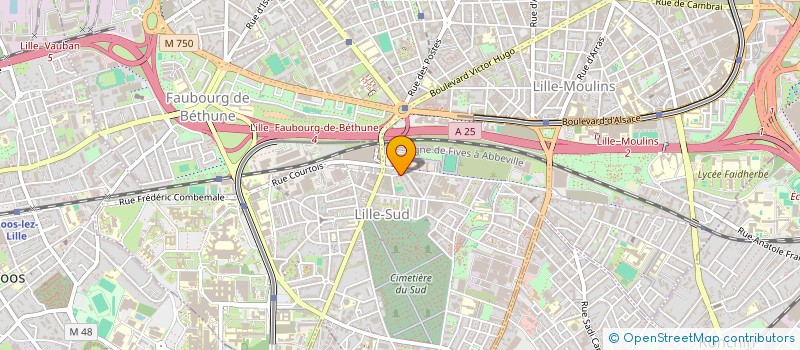 localisation de l'entreprise MONSIEUR MAXIME KAIKMAXOGLOU à LILLE