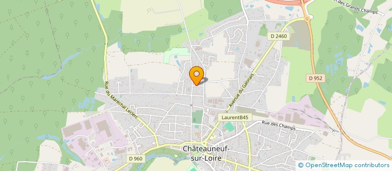 localisation de l'entreprise MONSIEUR MAXIME LEJARRE à CHATEAUNEUF-SUR-LOIRE