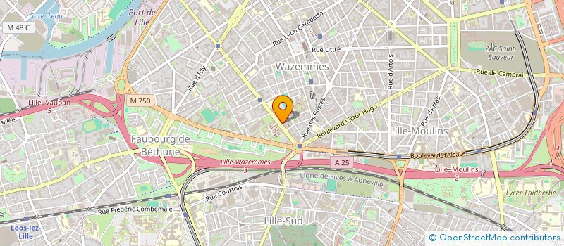 localisation de l'entreprise MONSIEUR MAXIME LESUR à LILLE