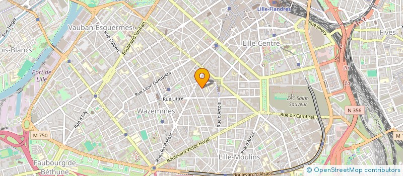 localisation de l'entreprise MONSIEUR MAXIME MARTIN à LILLE