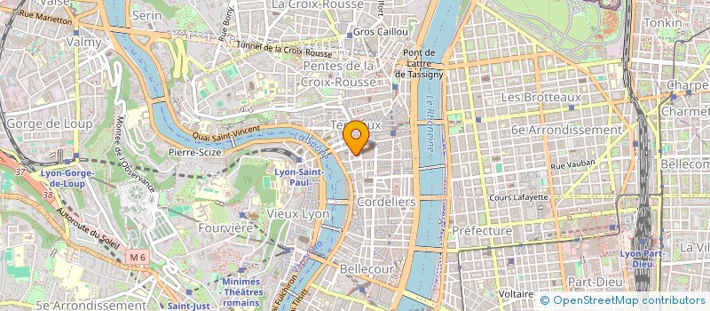 localisation de l'entreprise MONSIEUR MAXIME MICHEL à LYON