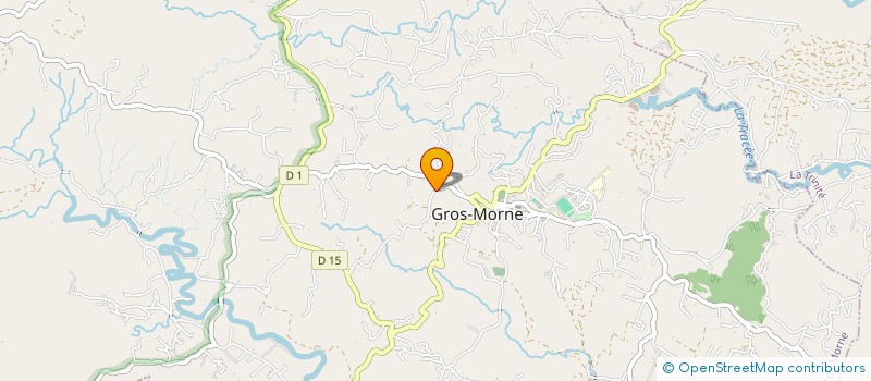 localisation de l'entreprise MONSIEUR MAXIME MOTTIN  GROS-MORNE