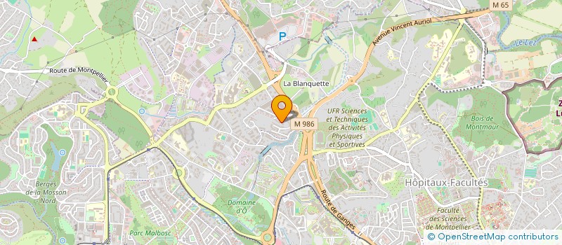 localisation de l'entreprise MONSIEUR MAXIME NEAU à MONTPELLIER