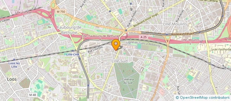 localisation de l'entreprise MONSIEUR MAXIME NEUVILLE à LILLE