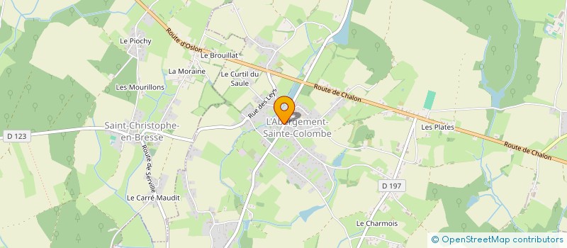 localisation de l'entreprise MONSIEUR MAXIME NIVET  SAINT-CHRISTOPHE-EN-BRESSE