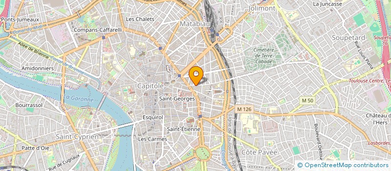 localisation de l'entreprise MONSIEUR MAXIME PICCOLI  TOULOUSE
