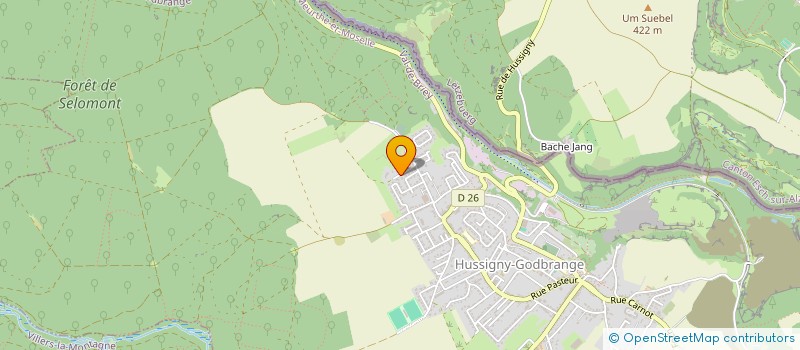 localisation de l'entreprise MONSIEUR MAXIME PILOTTI  HUSSIGNY-GODBRANGE