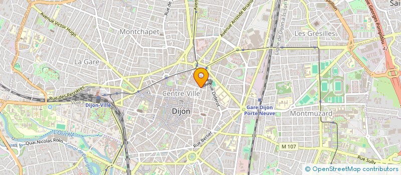 localisation de l'entreprise MONSIEUR MAXIME RACH à DIJON