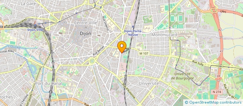 localisation de l'entreprise MONSIEUR MAXIME RAKOVIC à DIJON