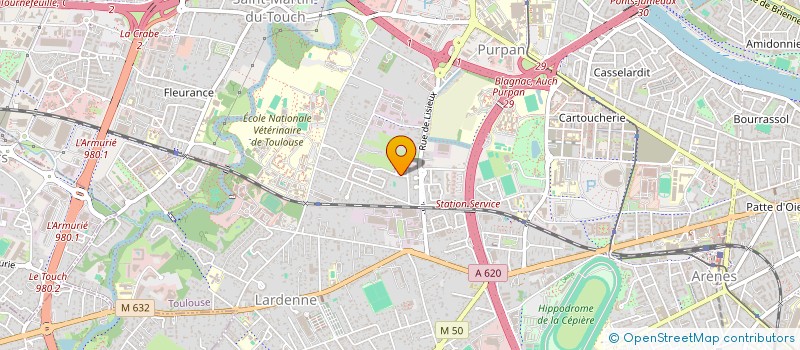 localisation de l'entreprise MONSIEUR MAXIME RANC  TOULOUSE