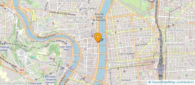 localisation de l'entreprise MONSIEUR MAXIME RAULD à LYON