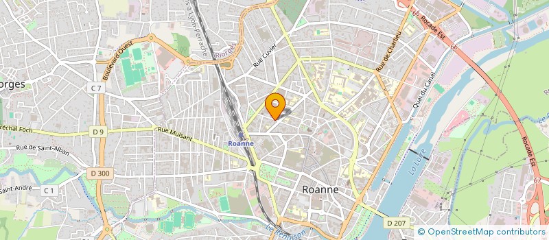 localisation de l'entreprise MONSIEUR MAXIME REY  ROANNE