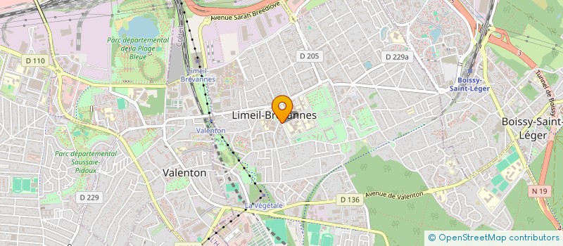 localisation de l'entreprise MONSIEUR MAXIME RIZZI  LIMEIL BREVANNES