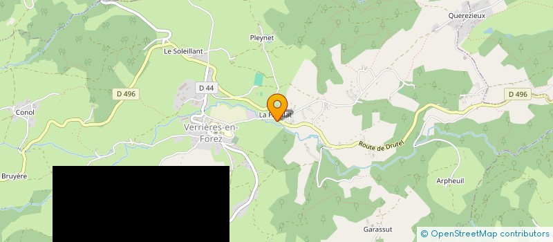 localisation de l'entreprise MONSIEUR MAXIME SAILLANT  VERRIERES-EN-FOREZ