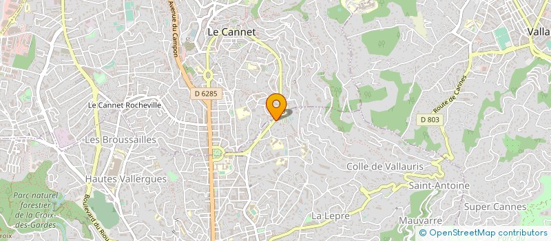 localisation de l'entreprise MONSIEUR MAXIME SALMON à CANNES