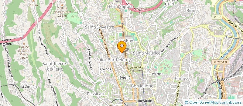 localisation de l'entreprise MONSIEUR MAXIME SALVATI à NICE