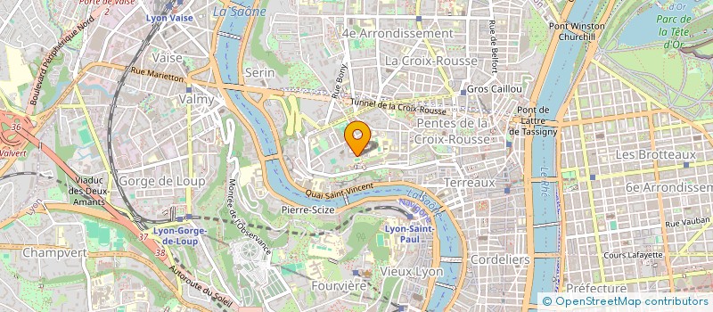 localisation de l'entreprise MONSIEUR MAXIME SEGARD  LYON