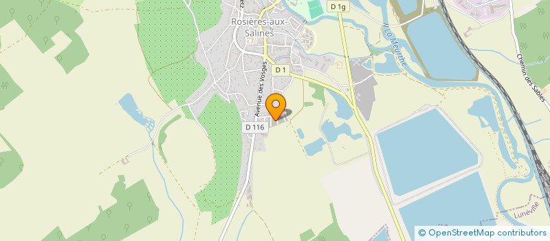 localisation de l'entreprise MONSIEUR MAXIME SILVA CERQUEIRA  ROSIERES-AUX-SALINES