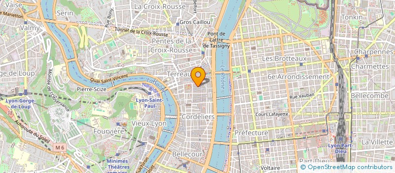 localisation de l'entreprise MONSIEUR MAXIME TASSIN à LYON