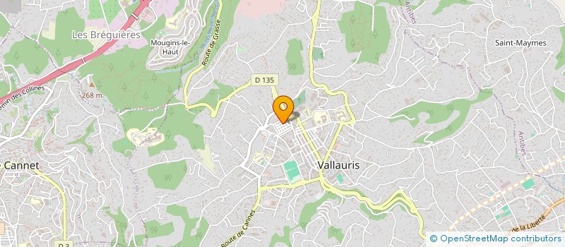 localisation de l'entreprise MONSIEUR MAXIME TOSELLO  VALLAURIS