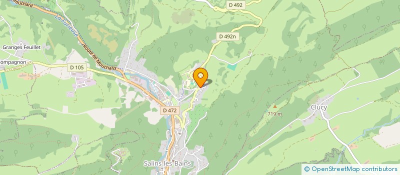 localisation de l'entreprise MONSIEUR MAXIME TRUCHOT  SALINS-LES-BAINS