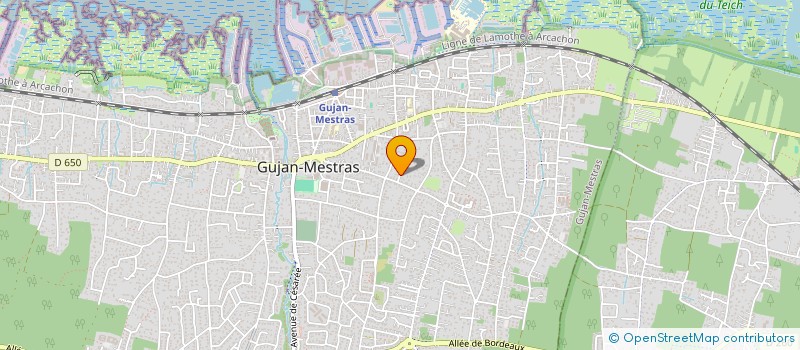 localisation de l'entreprise MONSIEUR MAXIME TUCZAPSKI  GUJAN-MESTRAS