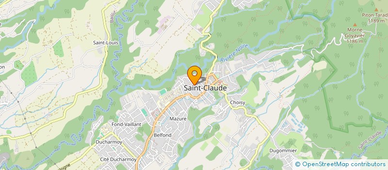 localisation de l'entreprise MONSIEUR MAXIME VERBOIS à SAINT-CLAUDE