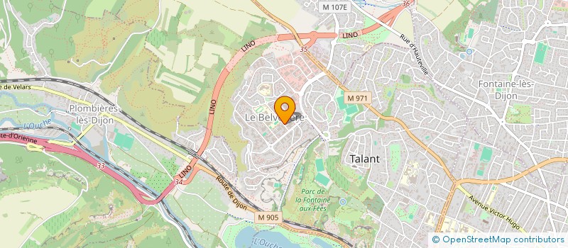 localisation de l'entreprise MONSIEUR MAXIMILIEN DELLEMOTTE  TALANT