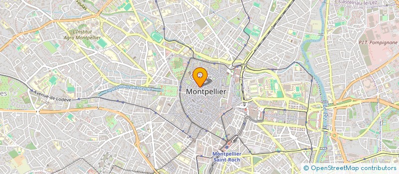 localisation de l'entreprise MONSIEUR MAYA DOUTRELANT à MONTPELLIER