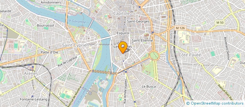localisation de l'entreprise MONSIEUR MAYEUL THOMAS  TOULOUSE